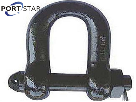 Shackle PG D Type